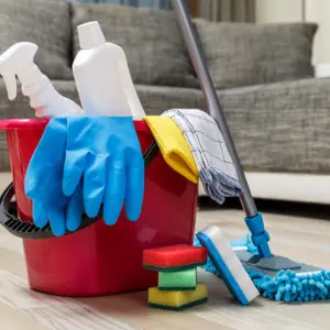 Cleaning.webp