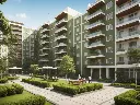 Society Renovation