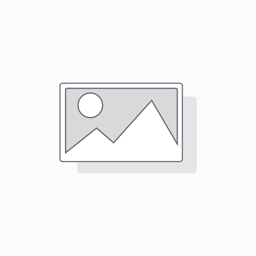 RazorPay Test Check
